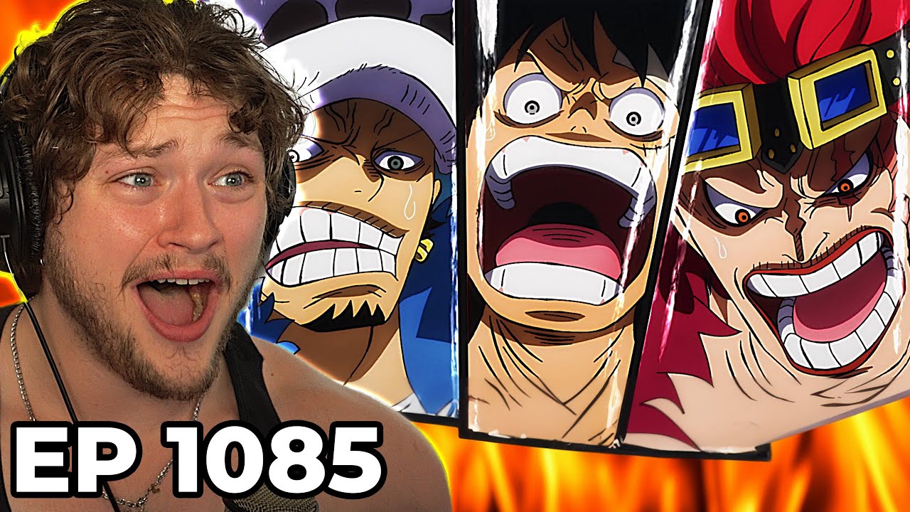 THE RUSH FOR THE ONE PIECE BEGINS!!