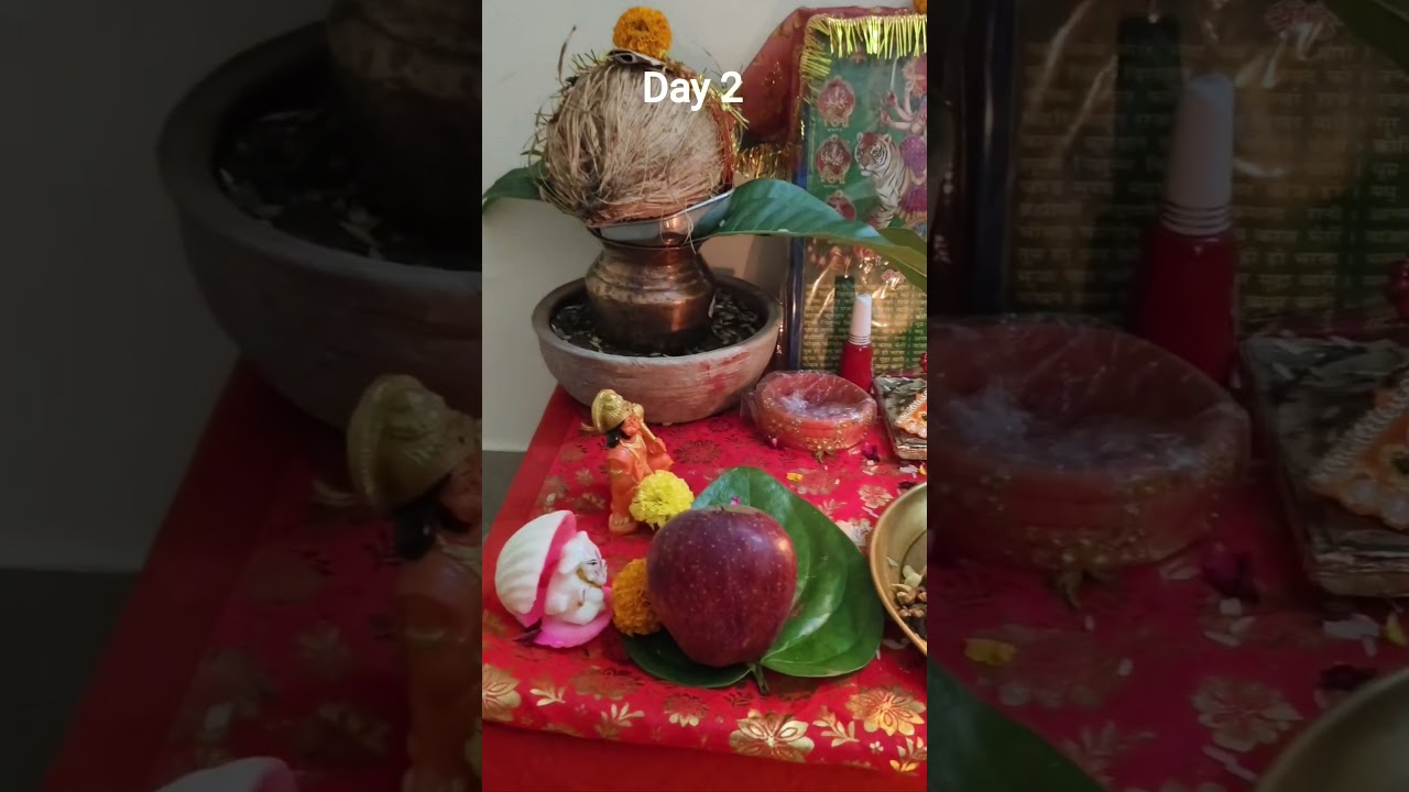 #shardiyanavratri #matarani #matabhajan #trending #youtubeshorts 🙏💐🌹