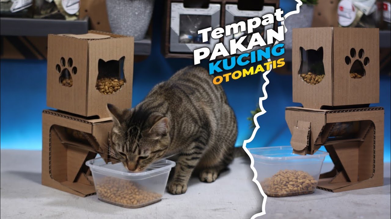 Tempat Makan Kucing Otomatis