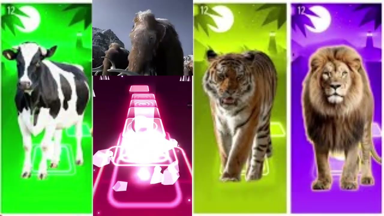 Funny Cow🐄🆚Funny Mammoth🦣🆚Funny Tiger🐅🆚Funny Lion🦁