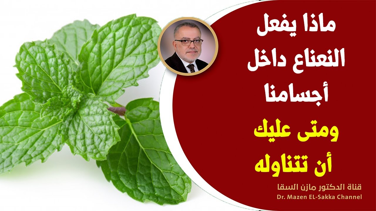 ماذا يحدث عندما تشرب الماء بالنعناع؟ اشرب ماء النعناع كلّ صباح مدّة 30 يومًا، شاهد ما سيحدث لك