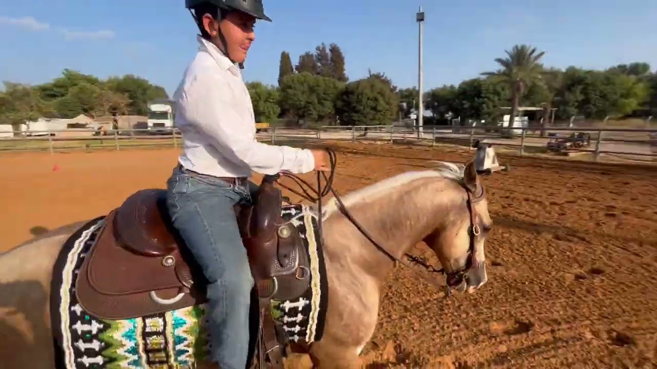 Elad Ben hayun, custom king diamond(6109) rookie 12. Haniel ranch xon, IEXCA virtual show #4.