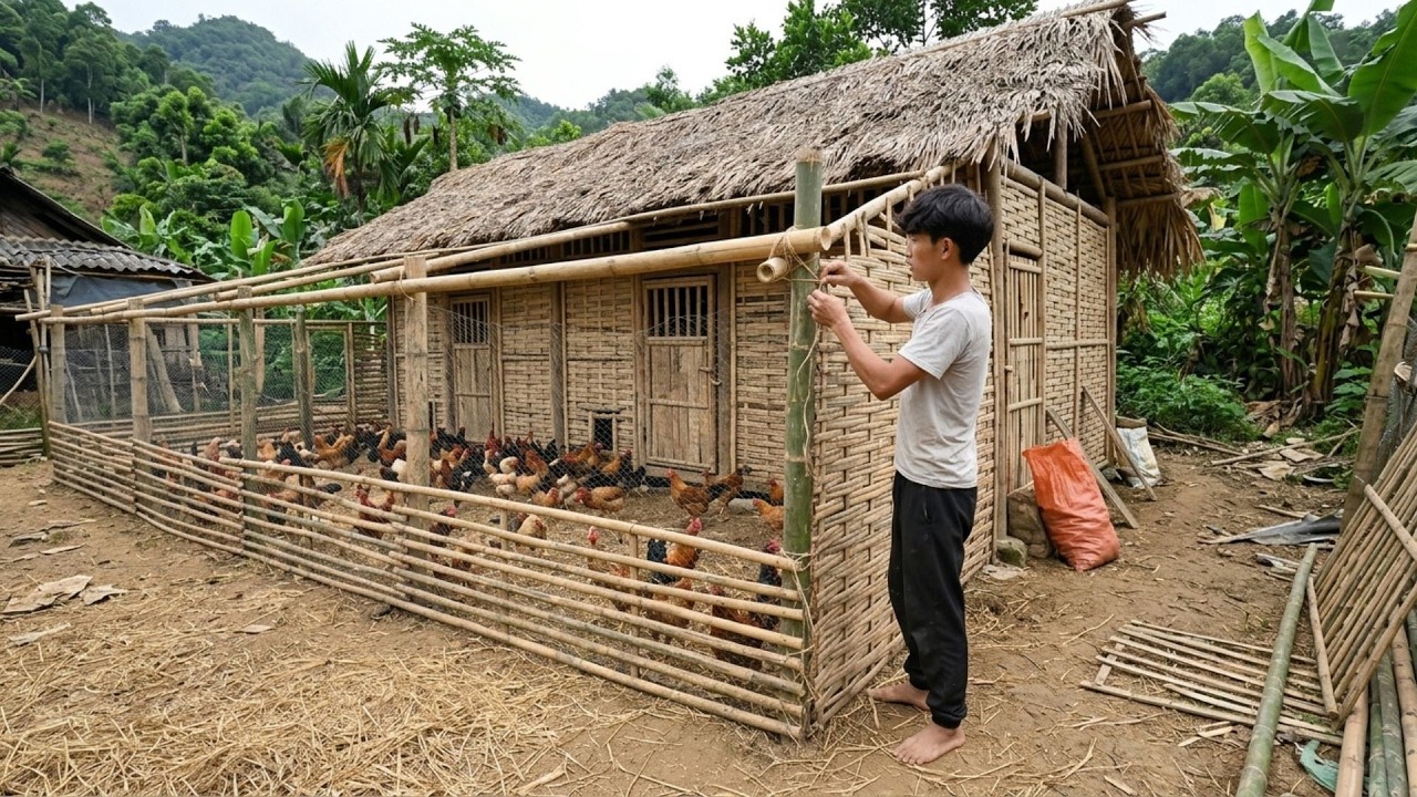 Building A Wooden Farm To Raise 1000+ Chickens And How To Pour A Large Concrete Floor