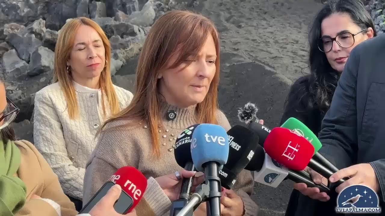 Última hora desde la isla de La Palma TVLaPalma.com