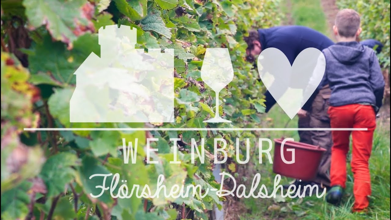Weingut Obenauer | Weinburg Flörsheim-Dalsheim [2021]