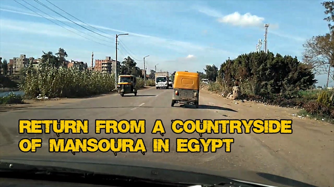 Return from a countryside of Mansoura in Egypt