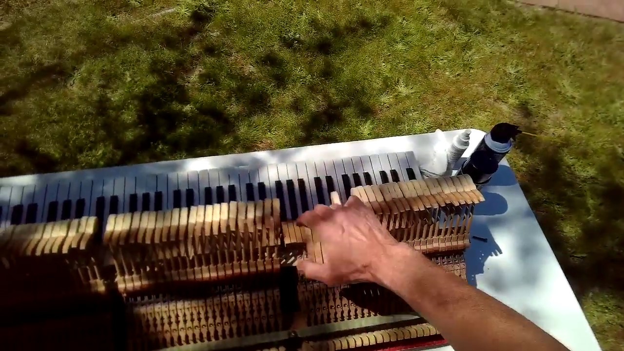 ✨ GRAND PIANO 🎹 Cleaning & Lubricating The Action ✨
