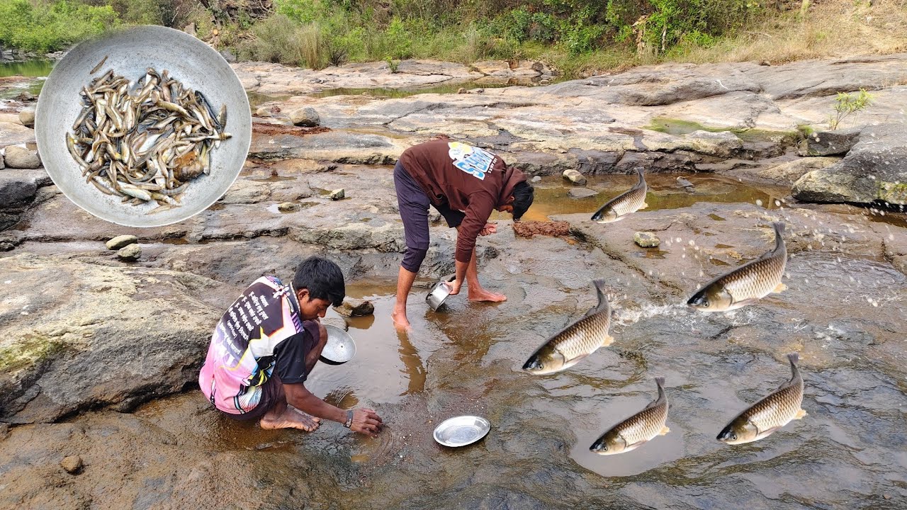 नदिवर जाऊन डोह उपसुन पकडले 🎏मासे आणि बनवली भन्नाट🍲 रेसिपी, Fish Catching Technique and cooking.