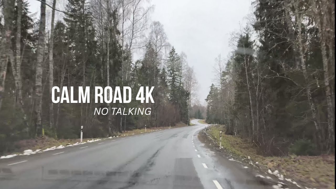 cozy cloudy / calm forest road drive 4k | relaxing car ambience & real road sounds (no music)