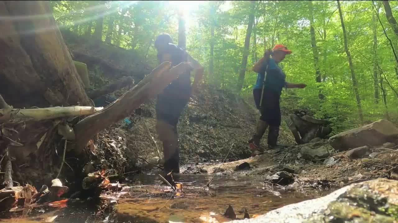 How Henrico man discovered a creek bed that could produce Virginia's first dinosaur bones