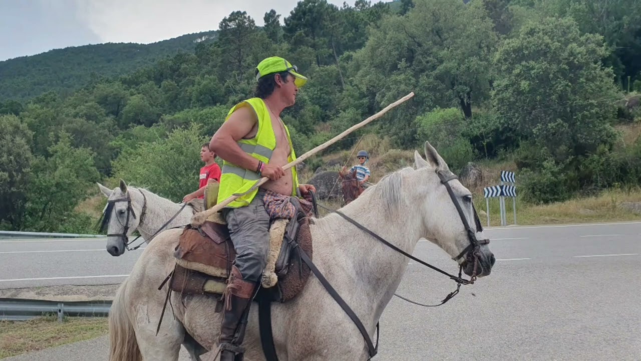 Trashumancia 2024. Los Cerillas