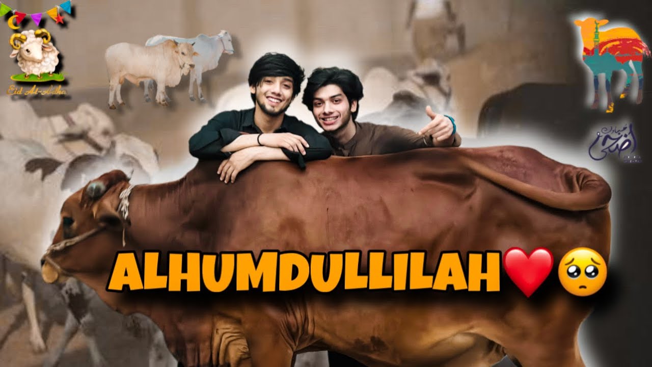 Finally Qurbani k leay janwar lay lea || Alhumdullilah ❤️🥺|| VLOG || By Mr Muntaha #foryou #qurbani