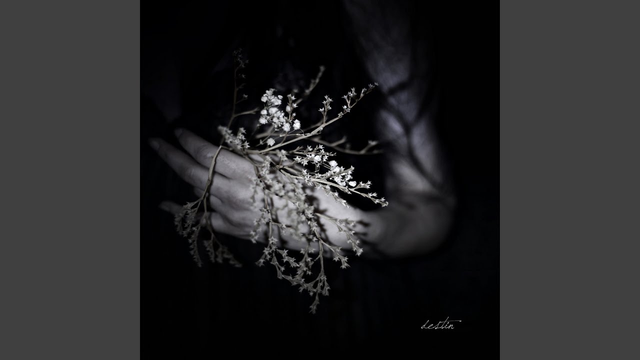 Nothing but a Name (feat. Mihai Ilie)