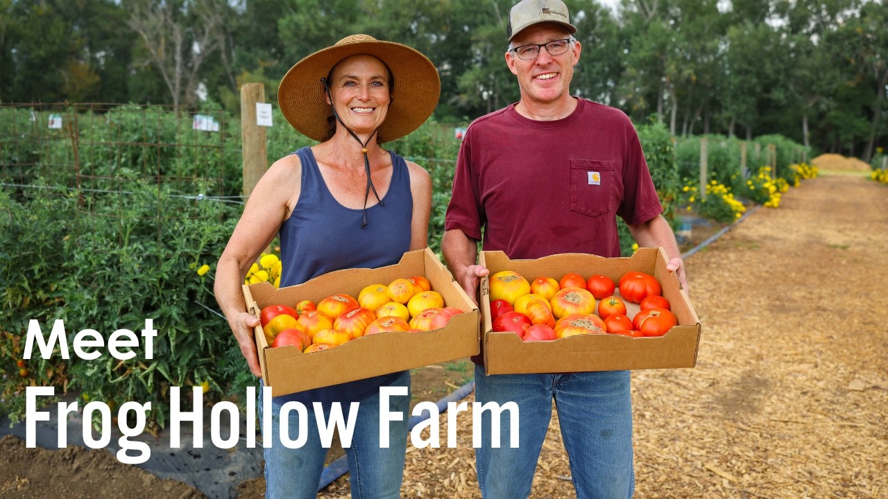 The Beauty of Heirloom Tomatoes | Frog Hollow Farm | Metropolitan Market