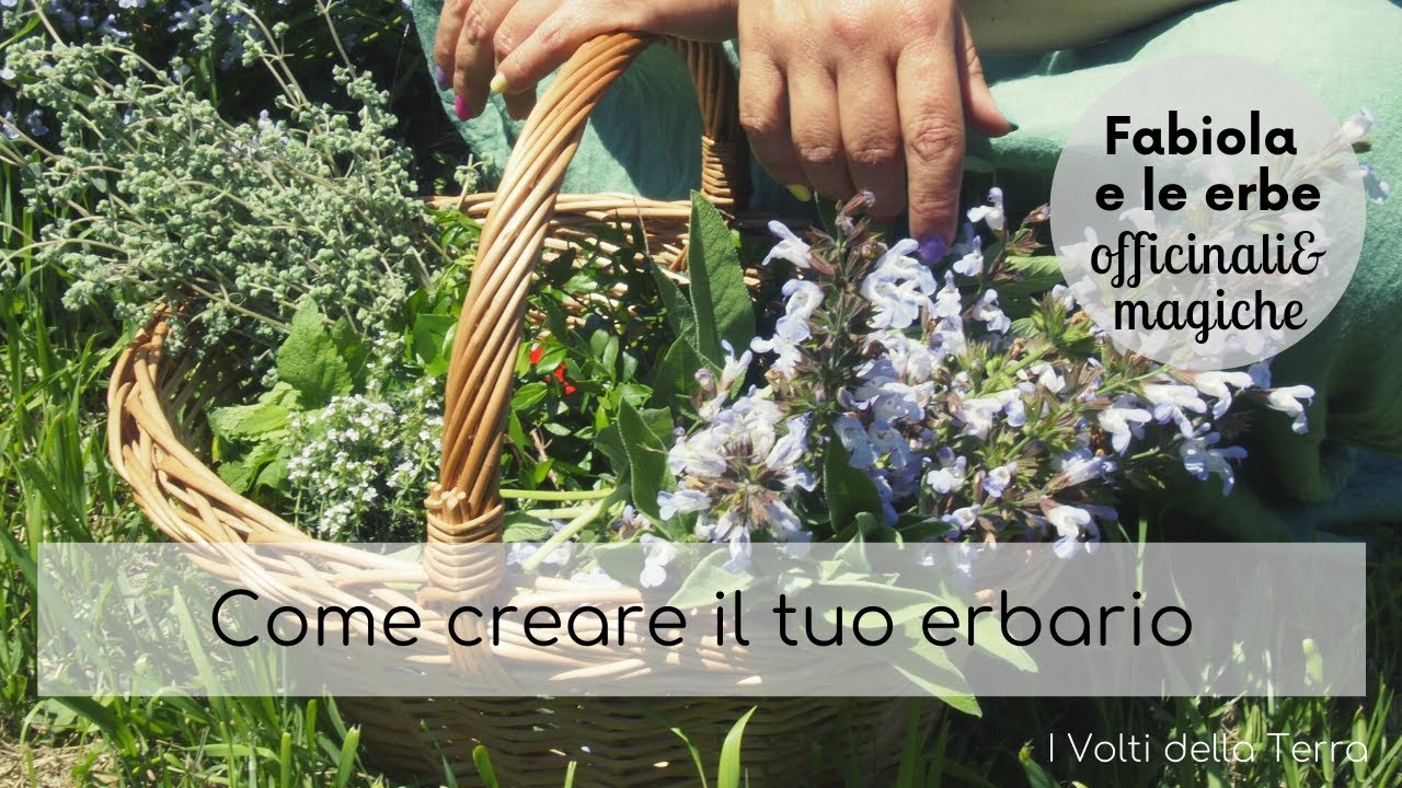 Erbe magiche e officinali: come creare un erbario