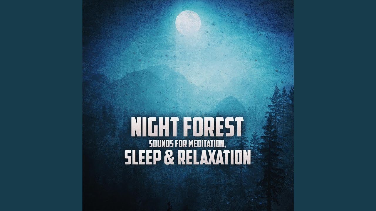 Night Forest Sounds for Meditation, Sleep & Relaxation