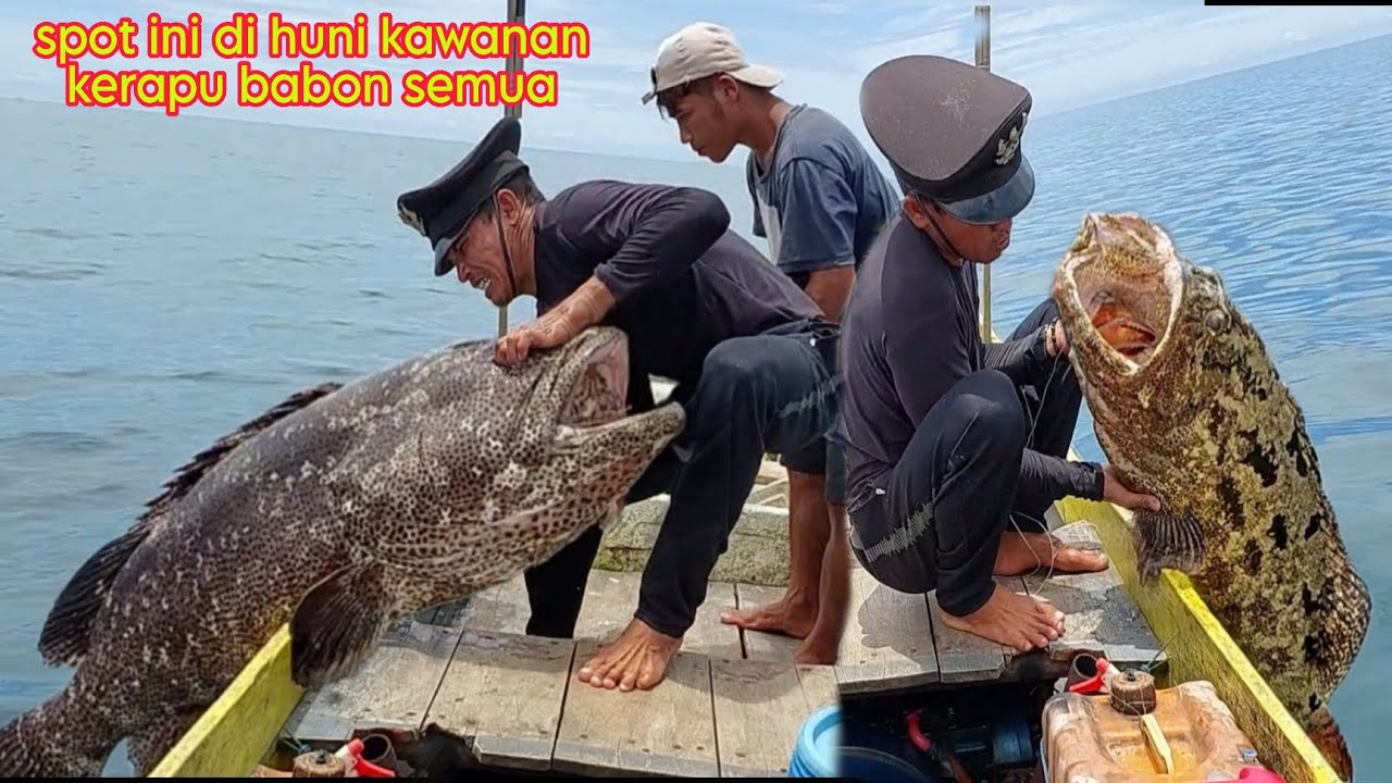 Mancing di spot ini ikannya tidak mengenal waktu umpan nyampe langsung di makan