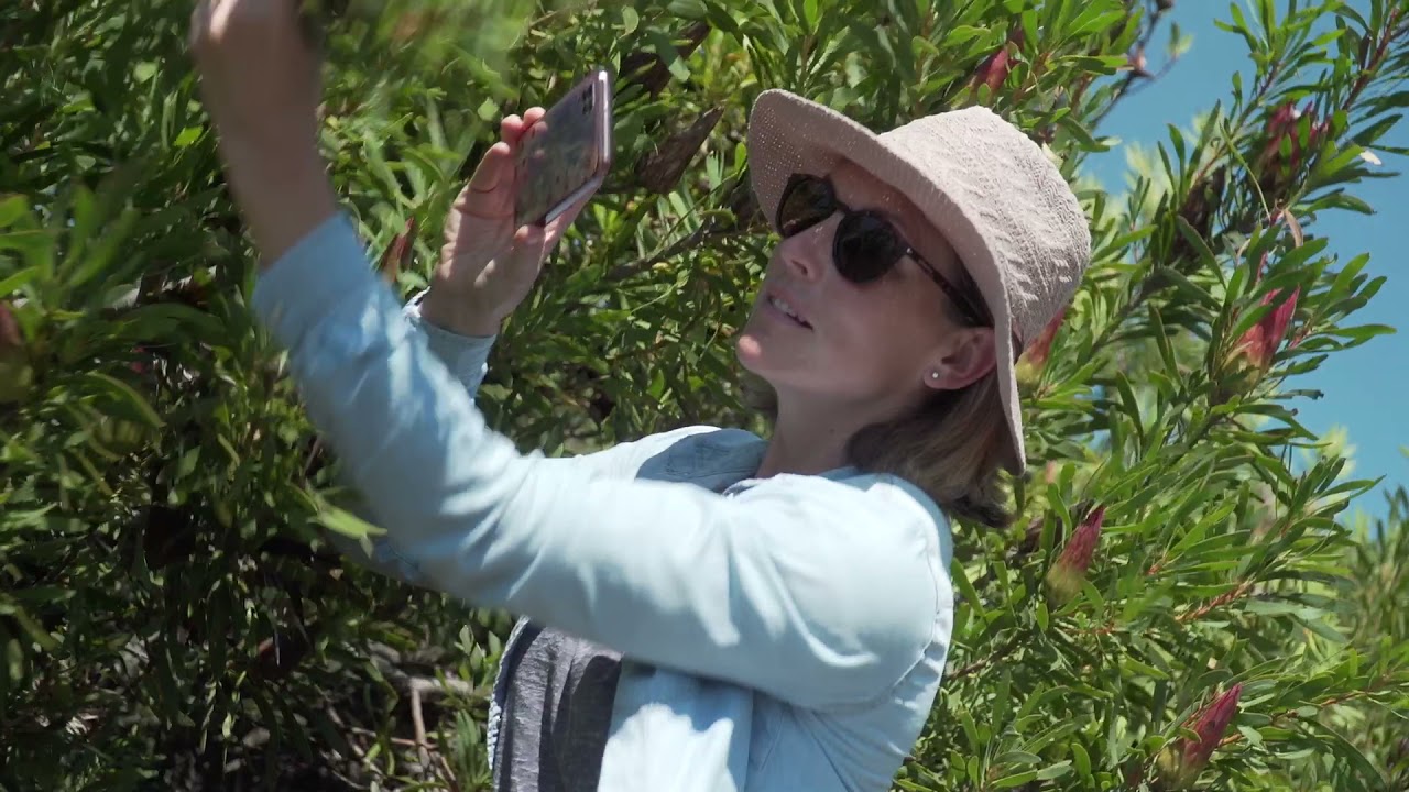 Join the Cape Town City Nature Challenge 2021
