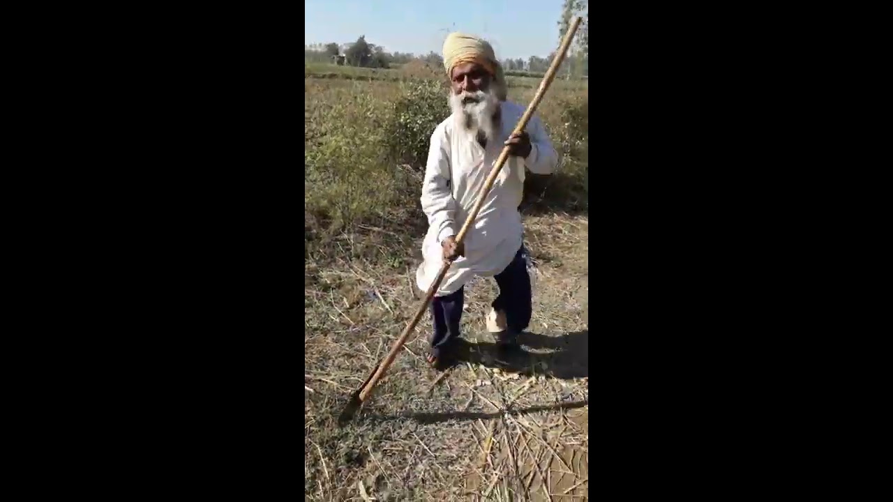 Punjabi gali full funny video HD 2020