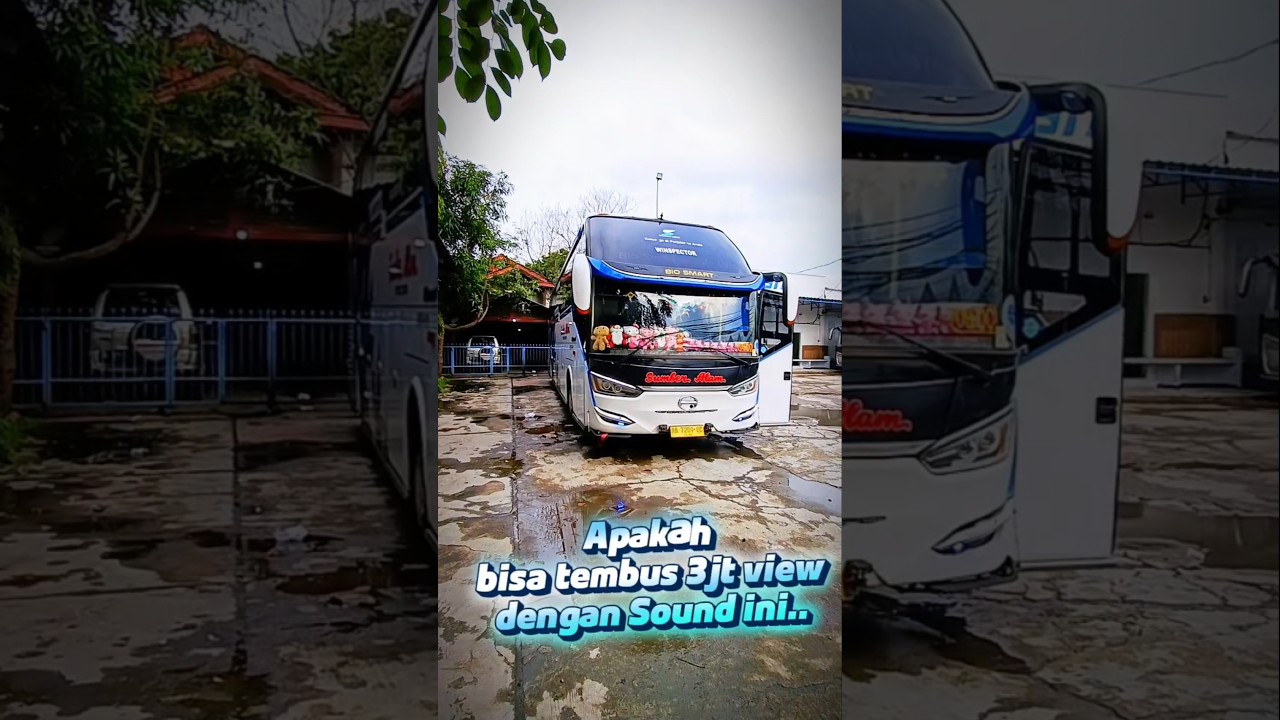 3 Juta View #shortviral #busmania #sumberalambus