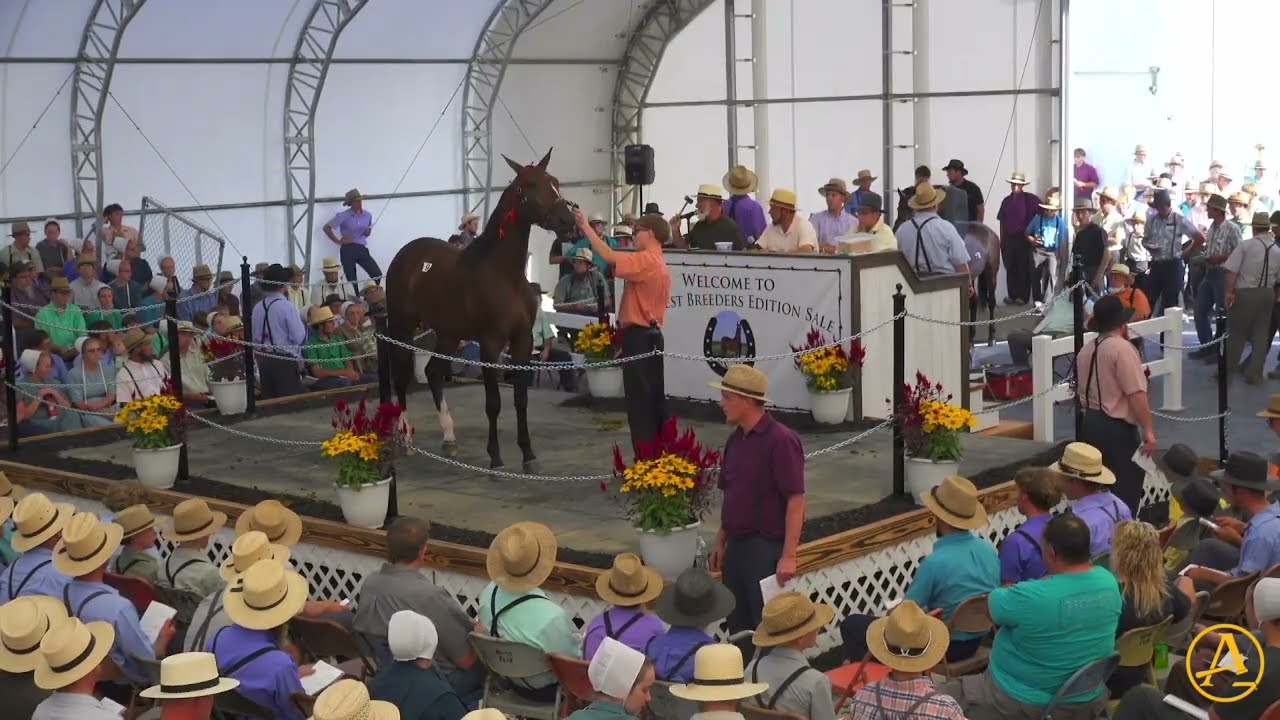 2025 Midwest Breeders Edition Sale - Day 1 | AuctionPro