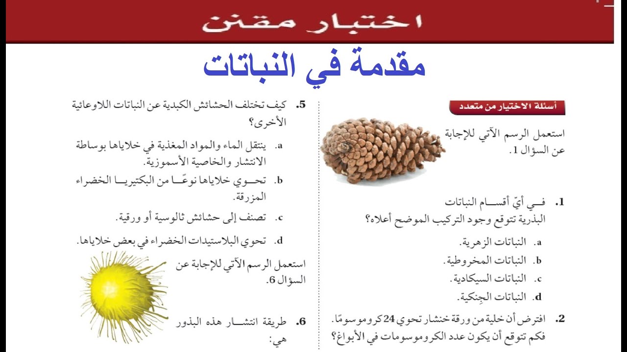 حل الاختبار المقنن باب ( مقدمة في النباتات )