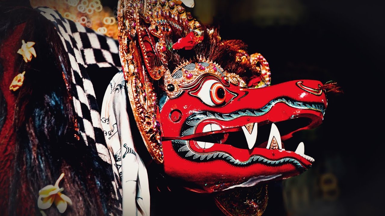 Ida Petapakan Ratu Ngurah Agung Pura Sada Pacung Blahkiuh Mesolah, Barong Meprerai Asu yang Langka