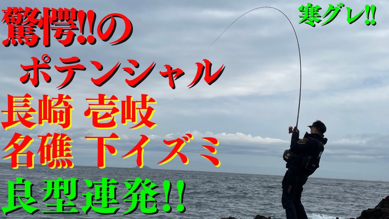 【釣り　壱岐】寒グレ50ＵＰなるか❔付け餌で釣果に変化❕付け餌の重要性とは...