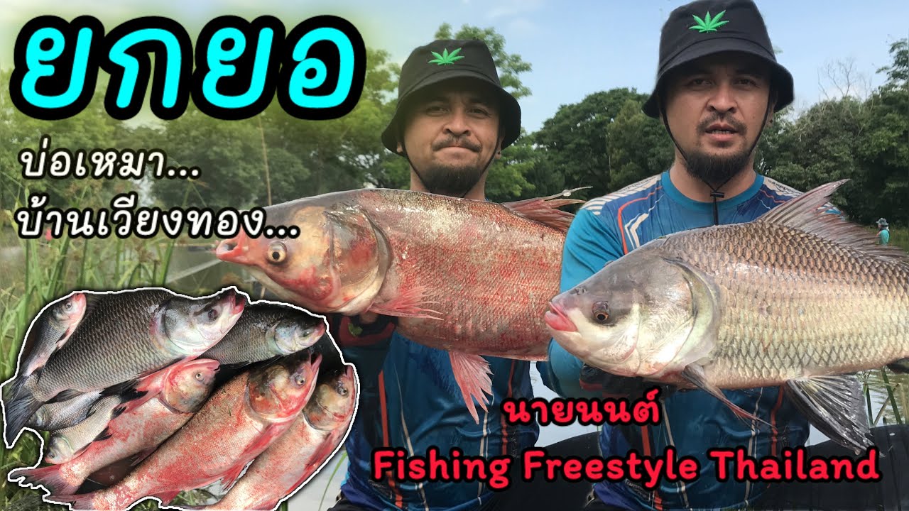 EP.165 ยกยอ หาปลา บ่อเหมา 850 บาท บ้านเวียงทอง