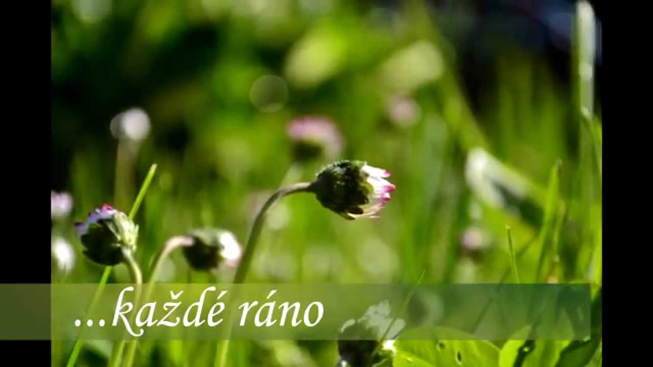 Valaská Belá 690