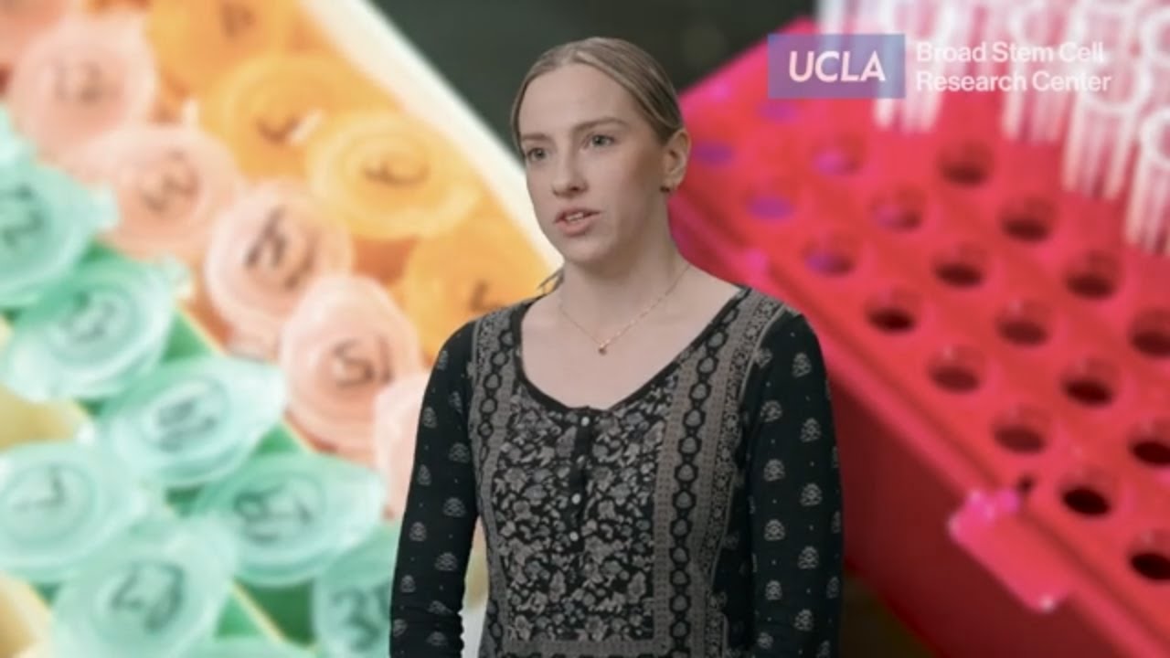 Making bone marrow transplants safer with lab-grown blood stem cells | Anastasia Vavilina-Halstead