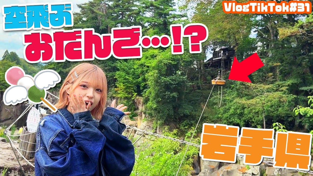 【岩手県】空飛ぶお団子が最高に美味でした！【VlogTikTok】
