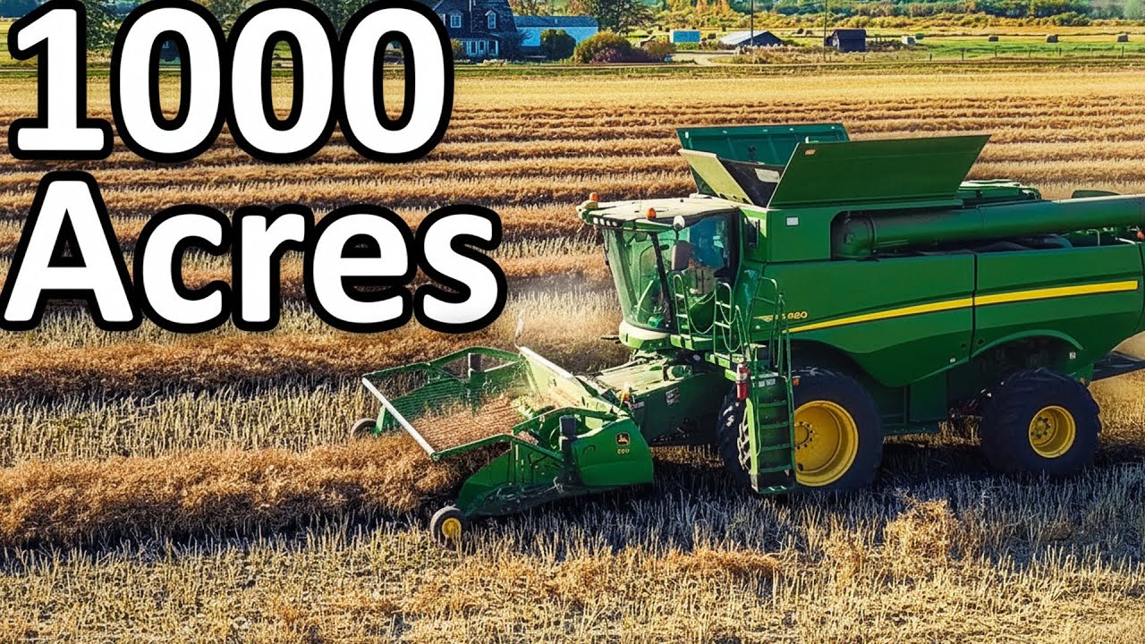 Harvesting over 1000 Acres of Canola In Alberta, Canada!