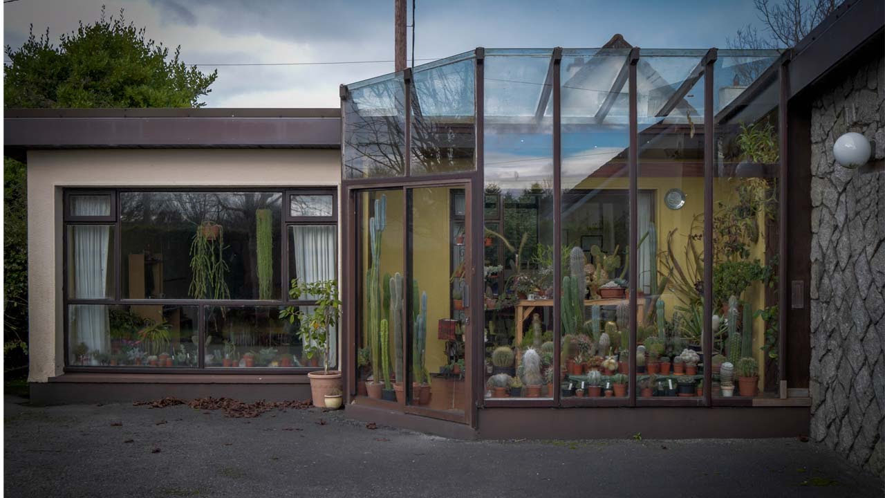 My overwintering Cacti & Succulent plant display and tour