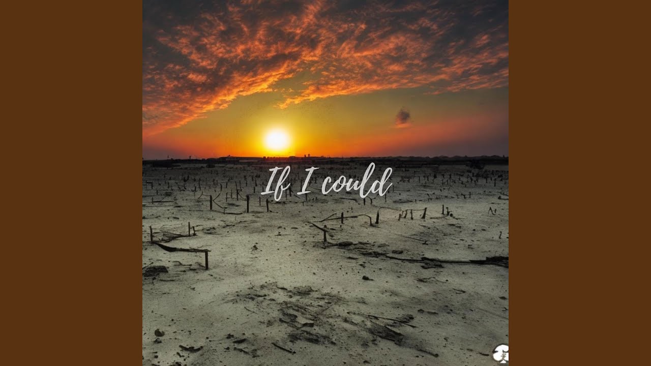 If I Could
