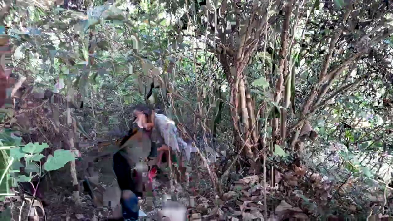 Exciting forest orchid hunting trip, discovering the tropical tropical rainforest in the Central Hig