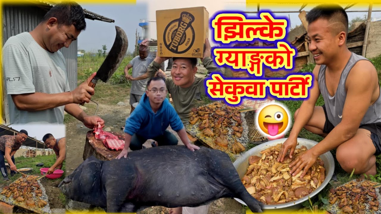 झिल्के ग्याङको बाक्साको सेकुवा पार्टीमा यस्तो सम्म भयो😱