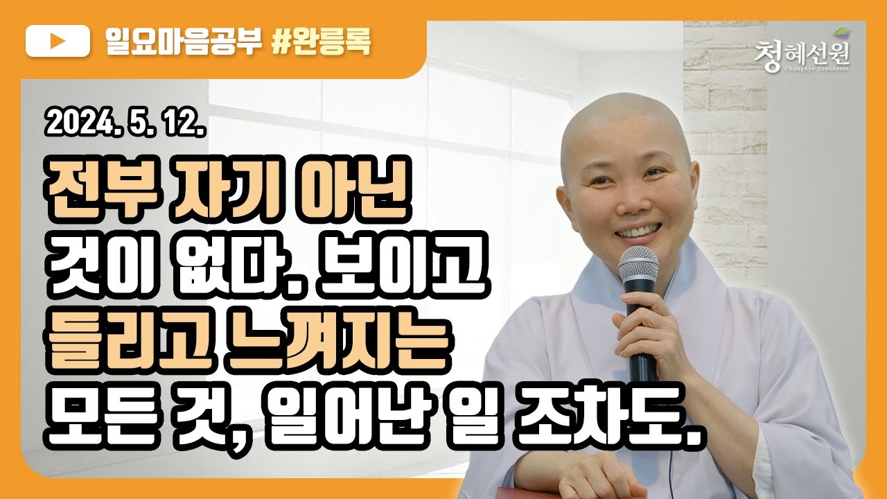 2024.05.12. [청혜선원] 일요공부ㅣ완릉록 제62회 “전부 자기 아닌 것이 없다. 보이고 들리고 느껴지는 모든 것, 일어난 일 조차도. 