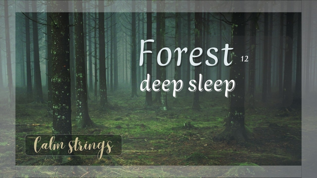 Forest Night 12 – Deep Cello for Sleep | 2 Hours of Calm Music