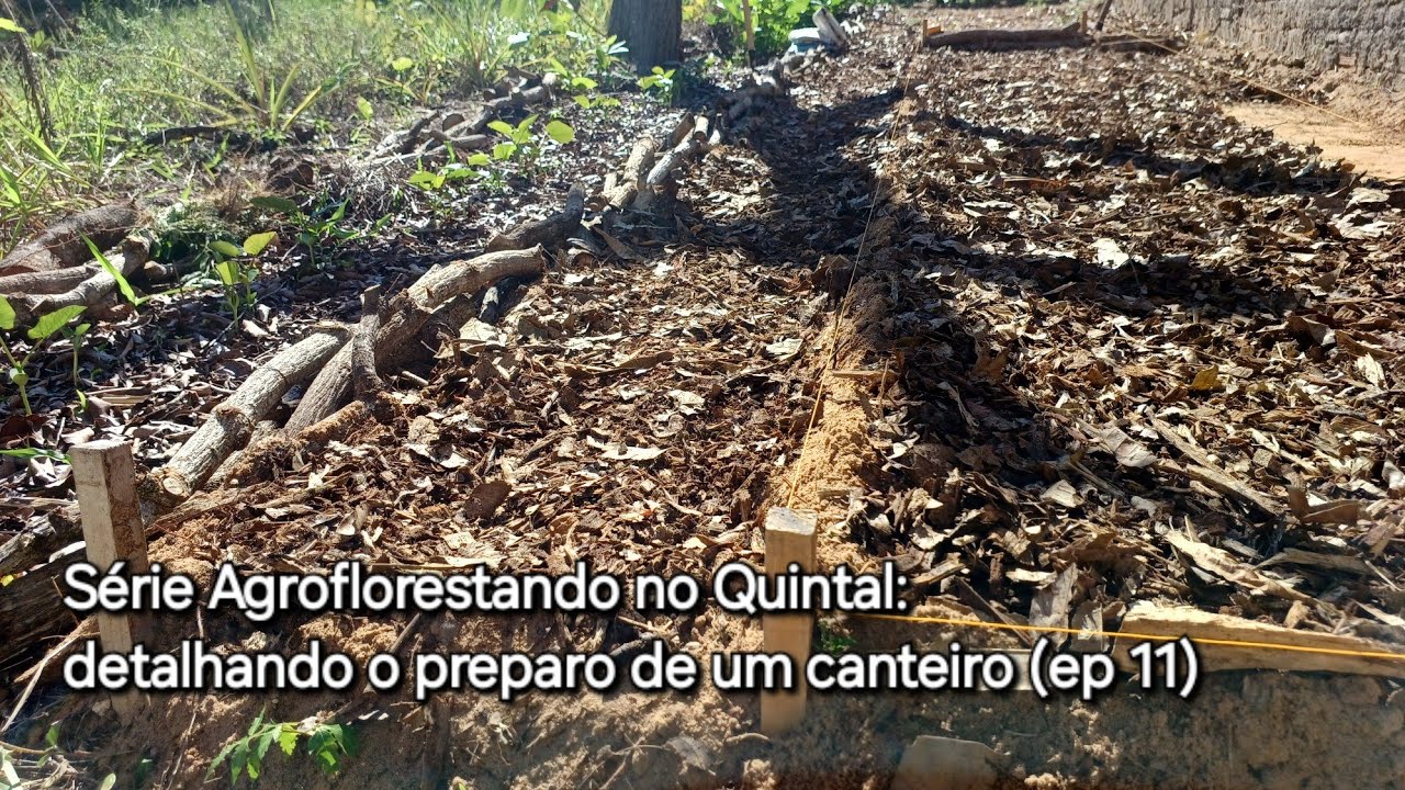 Série Agroflorestando no Quintal: detalhando o preparo de um canteiro (ep 11)