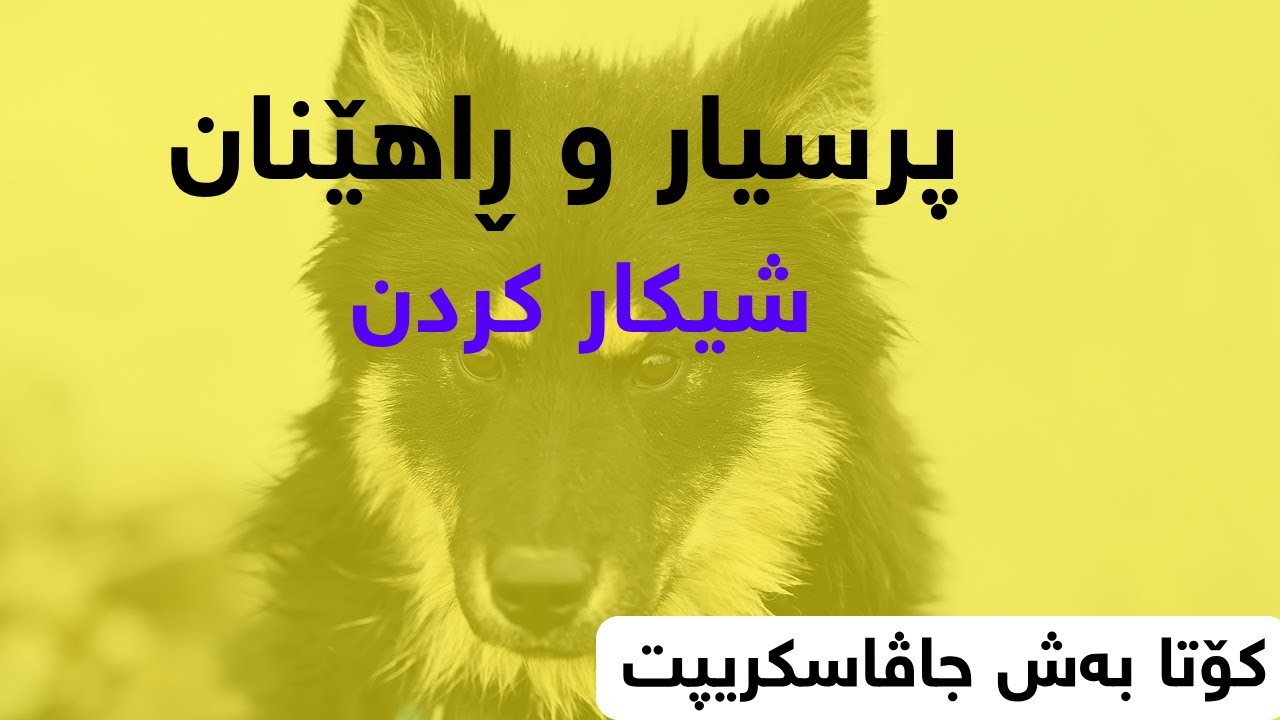 Javascript Kurdish || arm Strong Number || 3