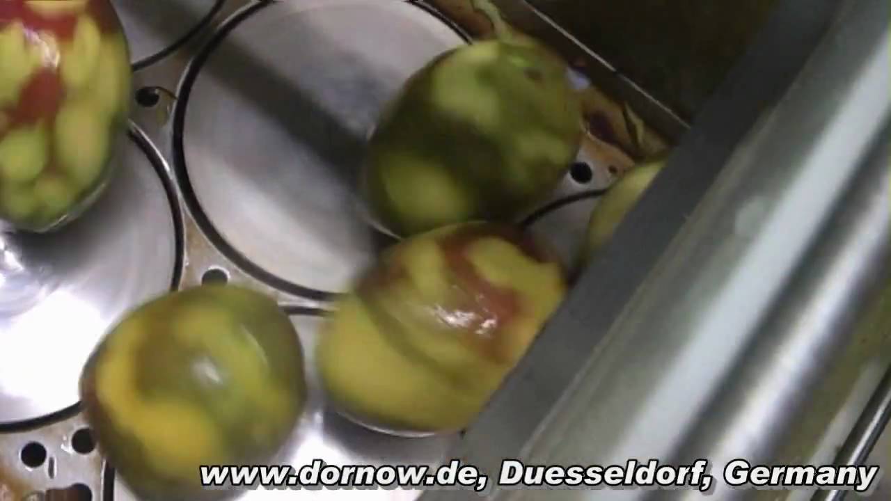 DORNOW Mango Peeling Machine, Mango Sch&auml;lmaschine