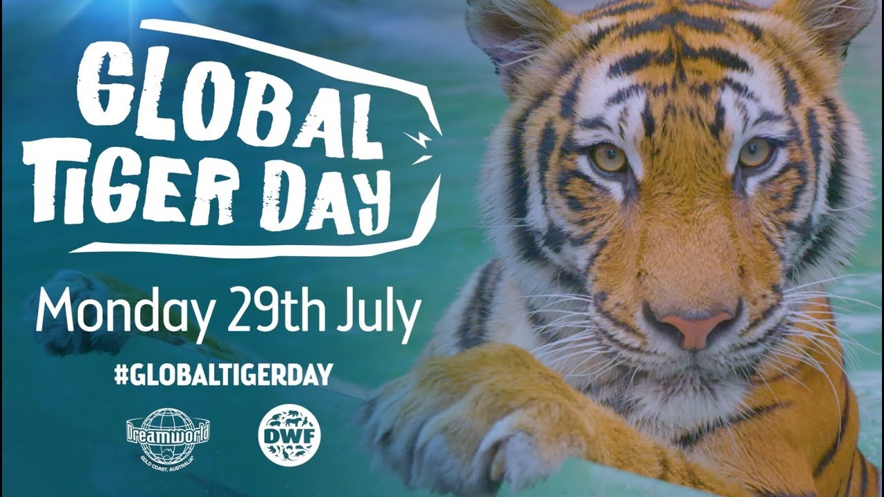 Global Tiger Day 2019
