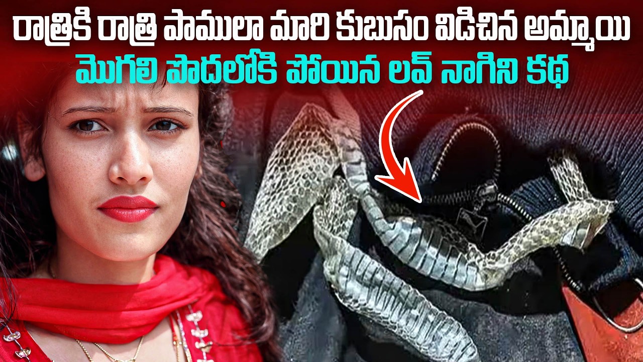రాత్రి నిద్రపోయిన అమ్మాయి ఉదయాన్నే పాములా మారింది... | Snake Girl | Latest News | Mr.N