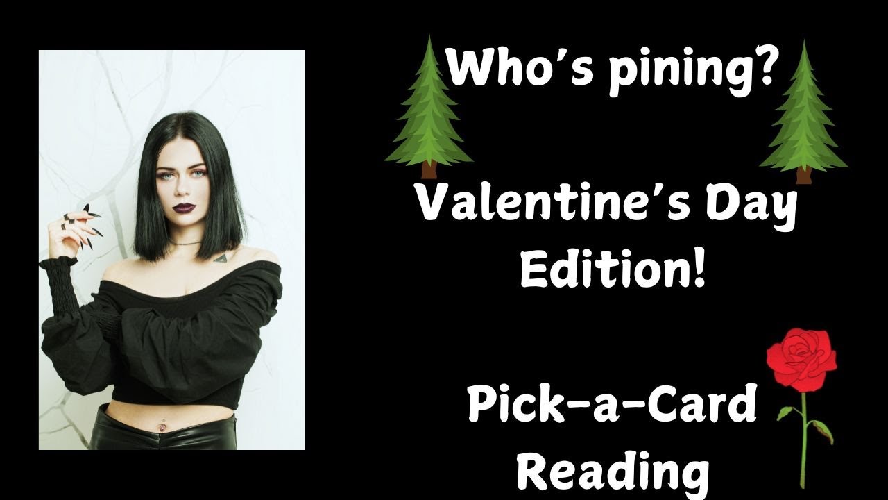 Who's pining?🌲Valentine's Day Edition!/Pick-a-Card Tarot Reading😶‍🌫️🌹