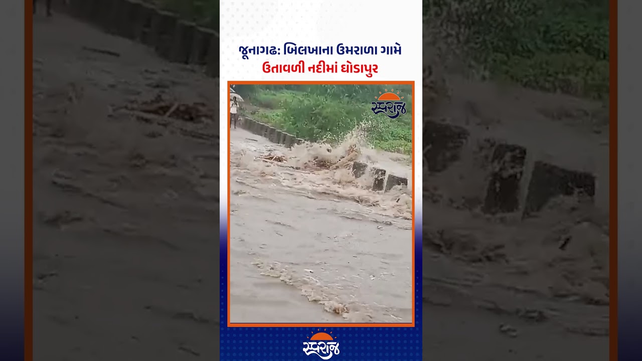 જૂનાગઢ: બિલખાના ઉમરાળા ગામે ઉતાવળી નદીમાં ઘોડાપુર #junagadh #rain #varsad
