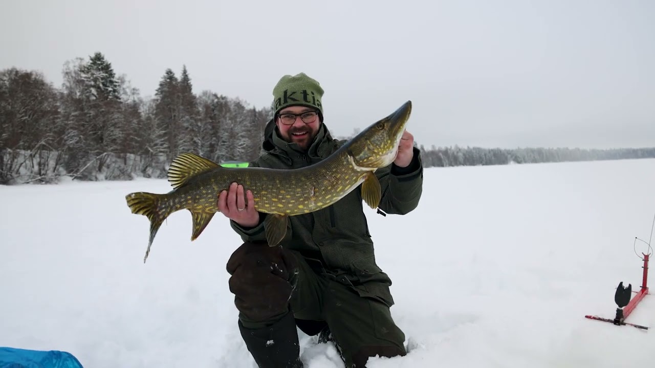 Ismeite på gjedde - 10kg+ pb
