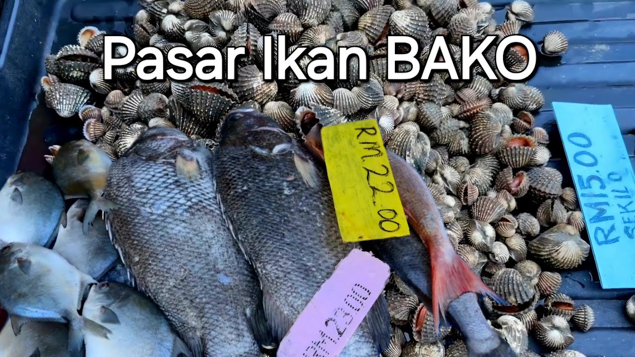 Pasar ikan kampung Bako Kuching Sarawak FULLTOUR🐟Banyak gerai menjual hasil laut segar gais👍