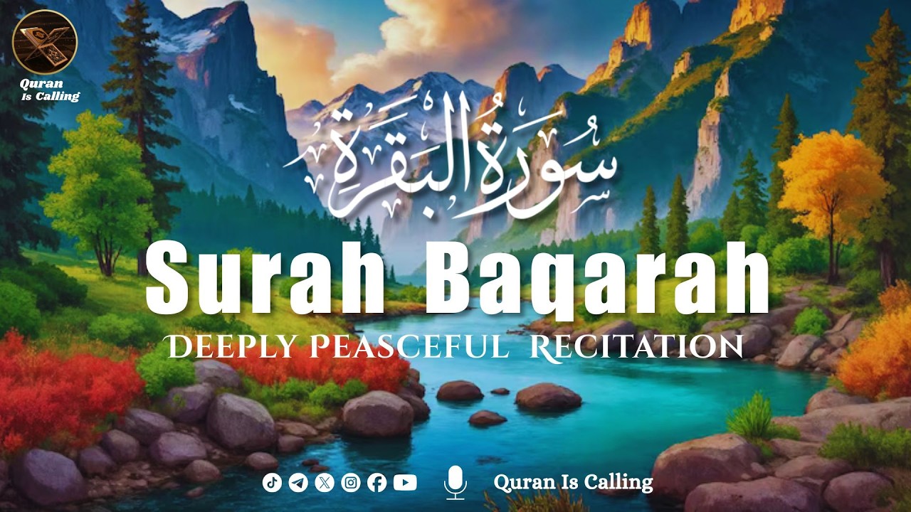 Surah Al-Baqarah سورة البقرة | Deep Healing & Peaceful Quran Recitation for Calm Heart & Mind
