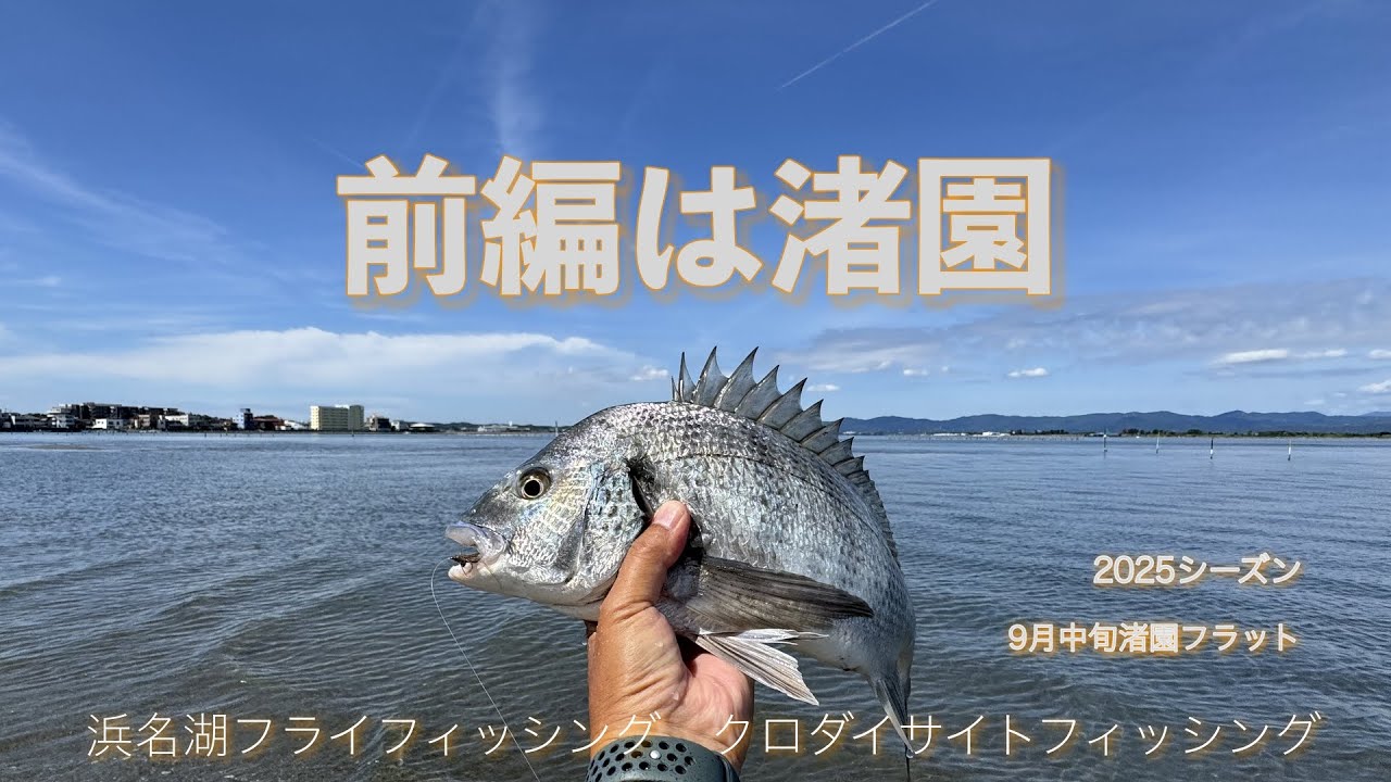 〜ランチタイムは渚園〜Flyfishing 2025年9月浜名湖クロダイ